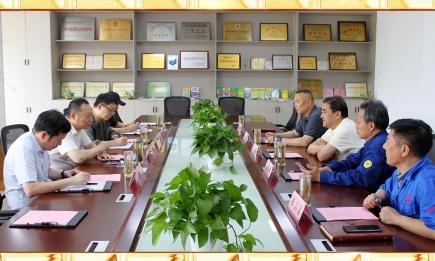 安徽省钢结构协会莅临我公司视察指导工作